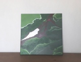 Minéral~5 (Fushite verte) - Minéral